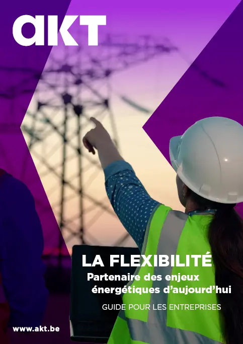 Une personne portant un casque de sécurité et un gilet réfléchissant pointe vers une structure métallique d’électricité au coucher du soleil avec un fond violet et le texte en français sur la flexibilité énergétique.

Description générée par IA